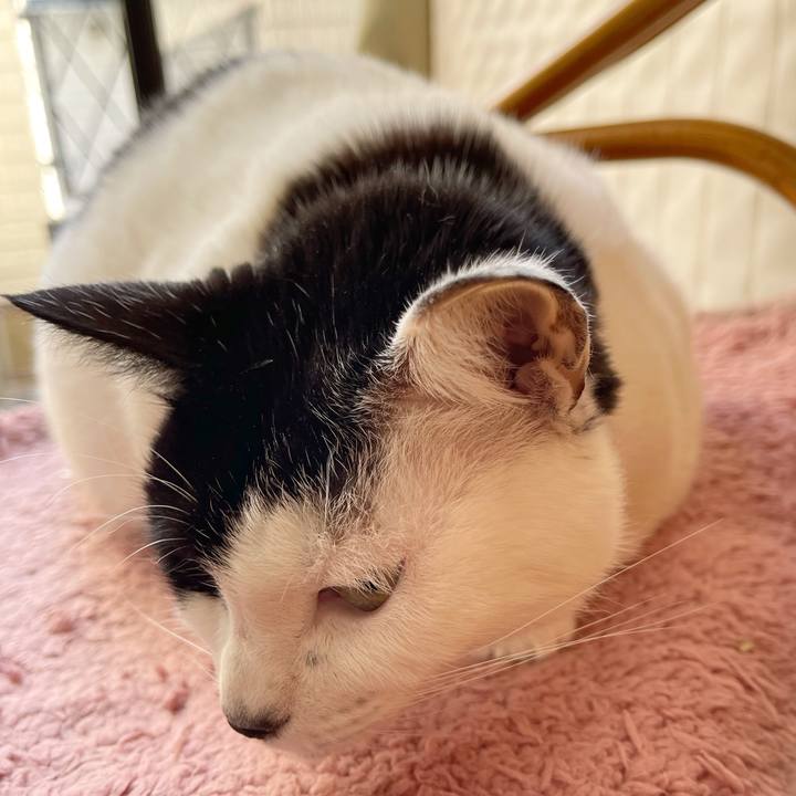 E9efc517 8db5 4241 a0f6 05af01ba84be 1767498447673