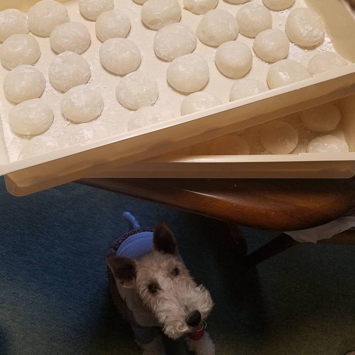 E9efc8f9 264c 448d ba86 0ec9902d8e03 1577589281310