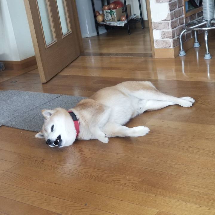 E9efd037 2aee 48cb 940f 681b22ad6fe1 1742176398187