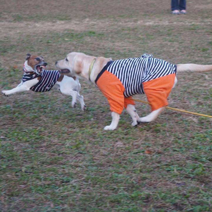 E9effe9d a1d9 474a 8720 d69ce28914b3 1606431568553