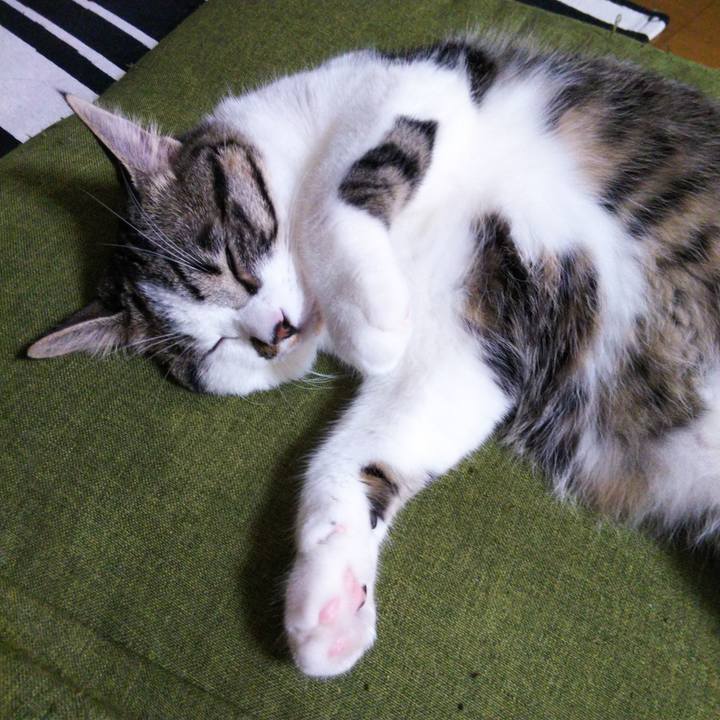 E9f00a73 f0da 4dbb a964 46f737982c80 1622412047819