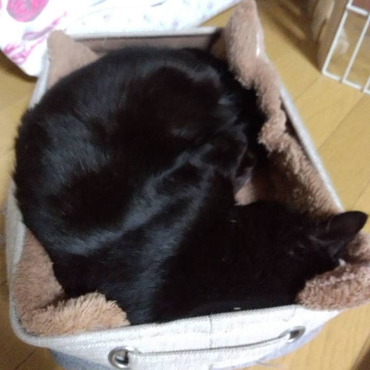 E9f03147 2f33 458a 9e88 da7c131ad0f6 1676032546115