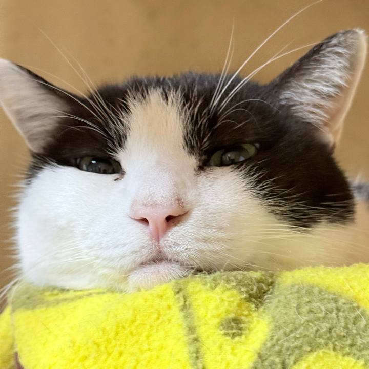 E9f043d9 87c0 4461 bb56 21f11e3934e1 1739240587055