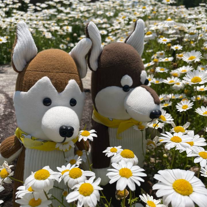 E9f06f55 41f1 4fbc 8e94 8619669468b9 1651550745940