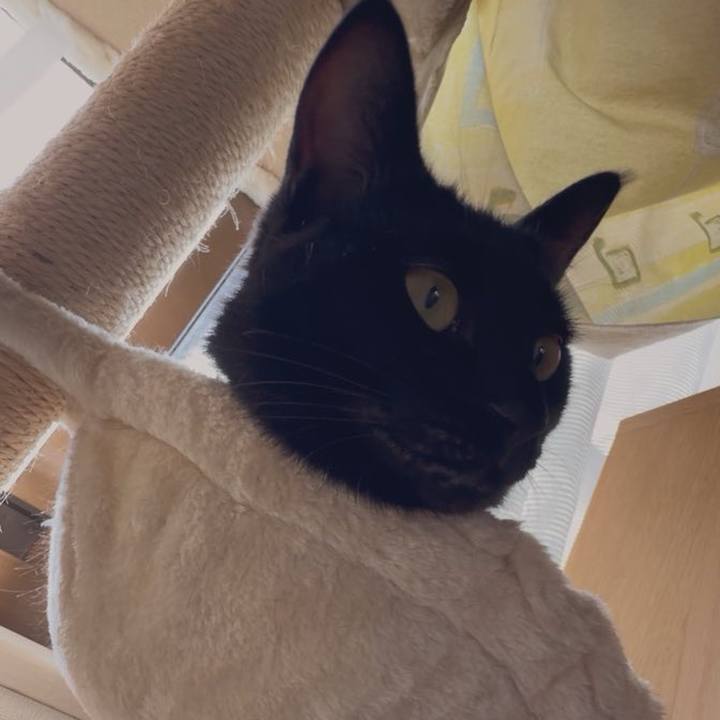 E9f079a9 f88f 480d bcc6 fe813aa7f848 1758033306493