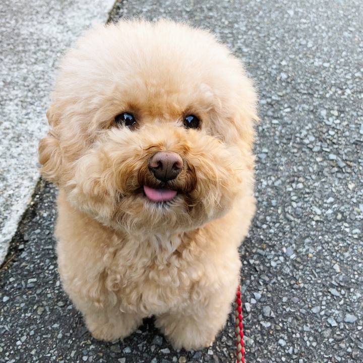 E9f07c73 1876 4d8a a5a5 47a8868a76c2 1514264031901