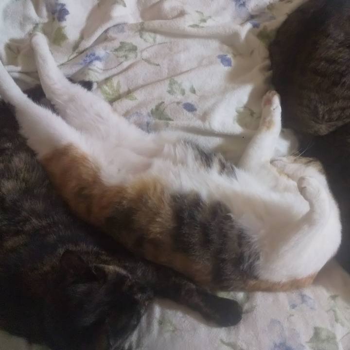 E9f0bb02 8cf4 4445 8d68 fc820ef09c4c 1746112296210