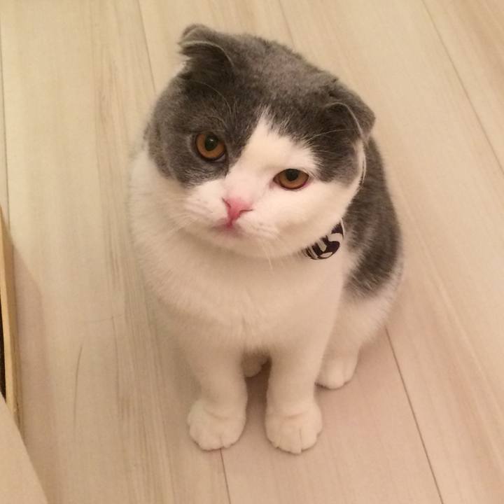 E9f0bccf b126 4614 8735 479e782d0089 1510743850832