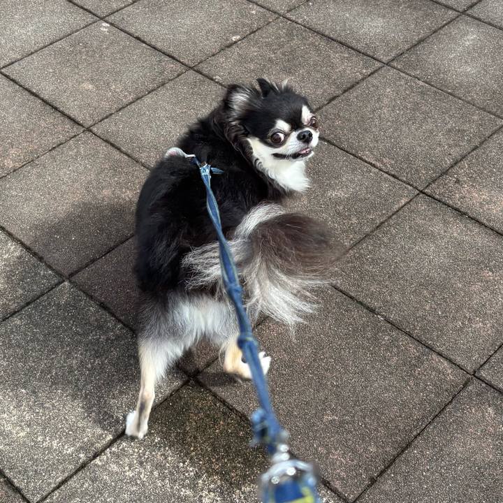 E9f0cd48 08a6 4fd9 b03c f3c4e020ed7e 1758471719056