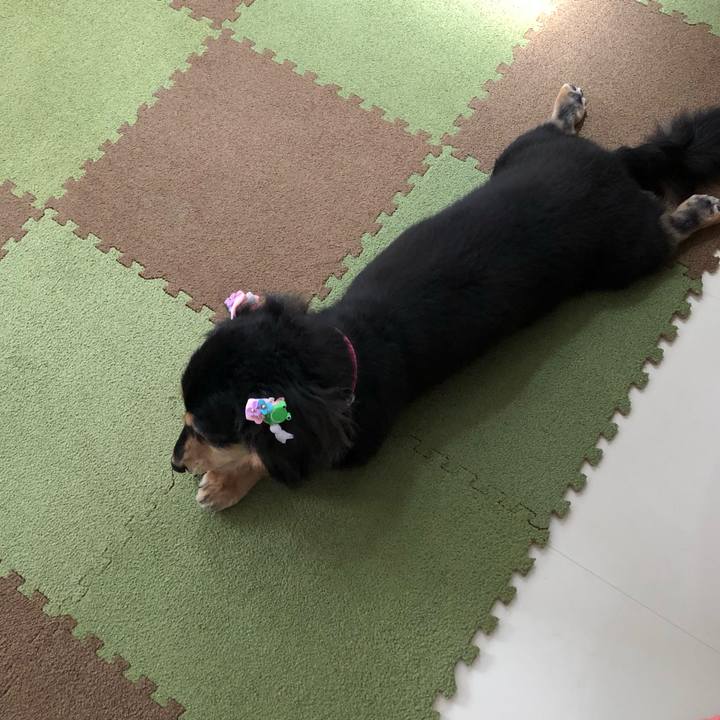 E9f0d7a0 0993 41a2 94a5 caa5011cabbc 1560830107703