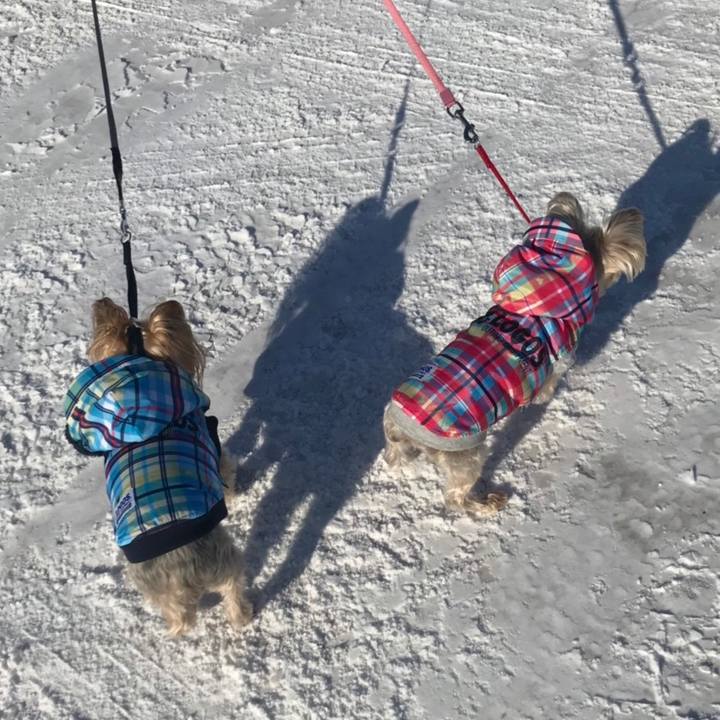 E9f0d8a1 0596 4c45 97c1 668a066cd983 1579771260110