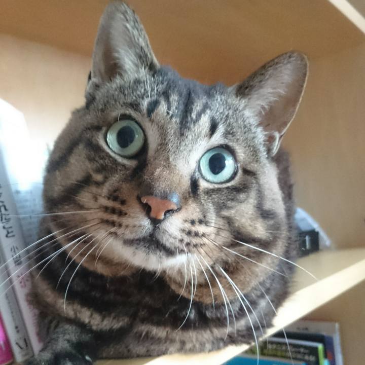 E9f0fd87 dd45 4b77 9cd1 aa23ddbae9b3 1553000978634