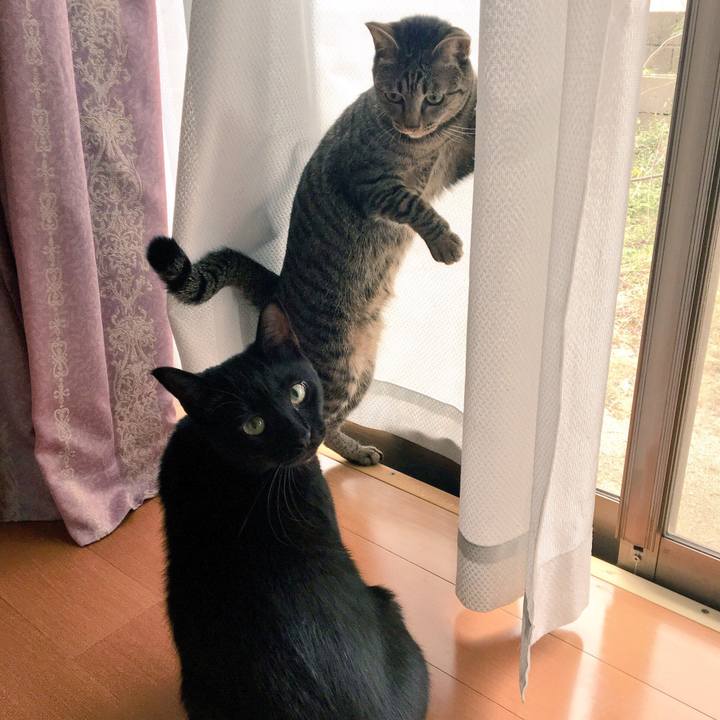 E9f1054f c1ed 4276 8693 4ff22d367491 1508807248072