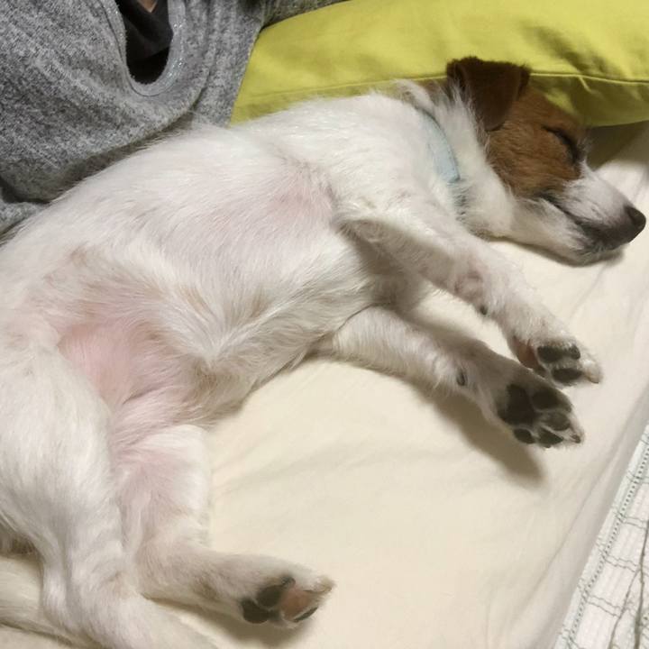 E9f10c49 4c2f 4d4a b10f 311262b65726 1551111268746