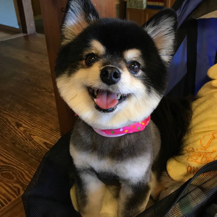 E9f154ce 2289 4def ae99 65af9c62580f 1530291107711