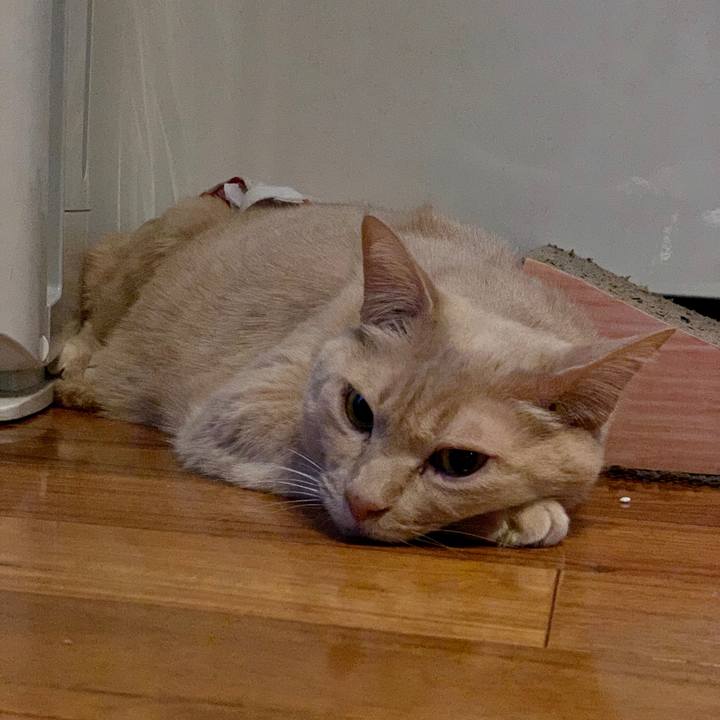 E9f1b811 df24 4b26 9dce f802b8e5610b 1579729153036