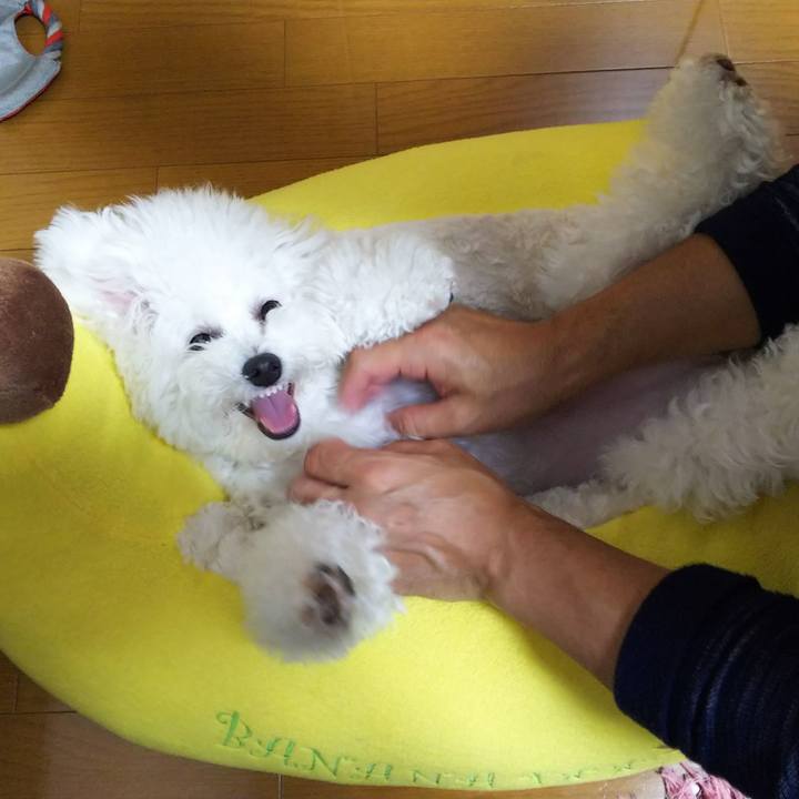 E9f1f268 923d 4dda b635 1ef2ac23ed3f 1508497680201