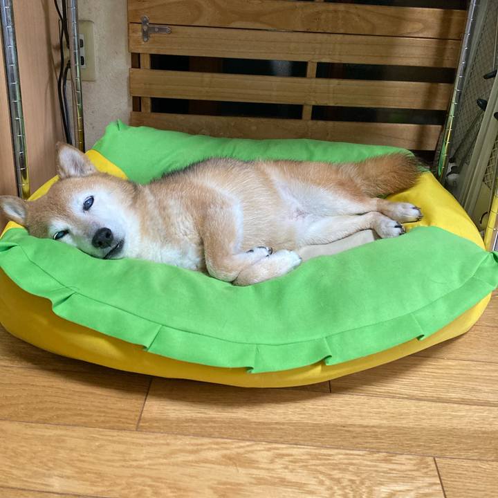 E9f1f616 a9ae 403f b995 7d09e49b76ce 1754112170255