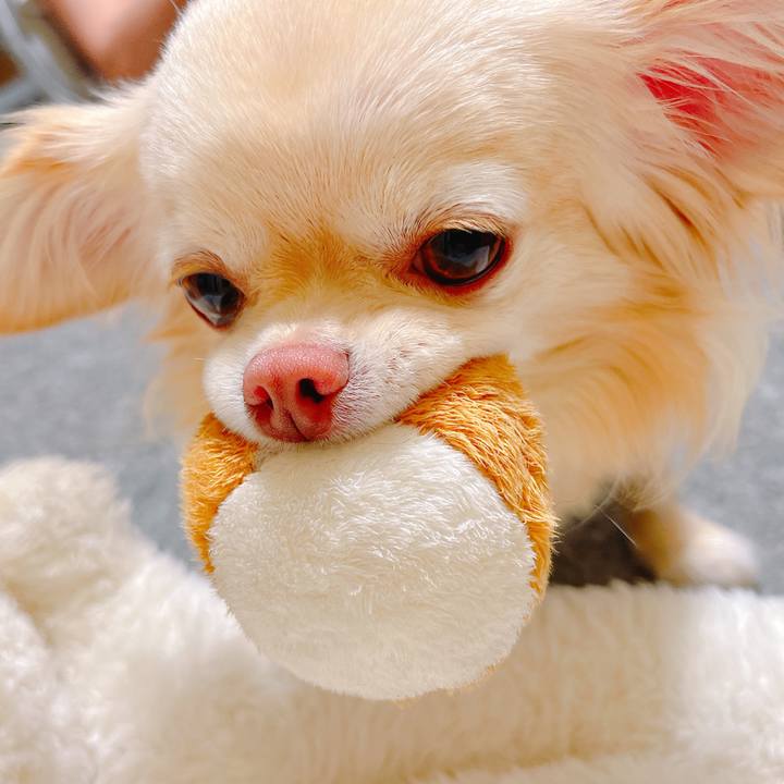 E9f213d8 fa64 4814 acfd 7c92d6629418 1649929433034