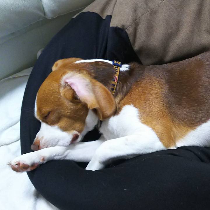 E9f223da 14ee 4acd 9551 d04fcb31a20f 1574598009971