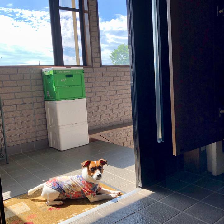 E9f2337b 3e86 46a8 9c1c 6f13f15953a7 1599611306553