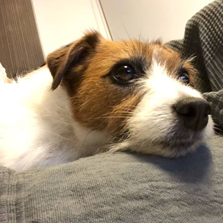 E9f2432e e0c3 4127 98f3 ed308dfe4d20 1589196496484