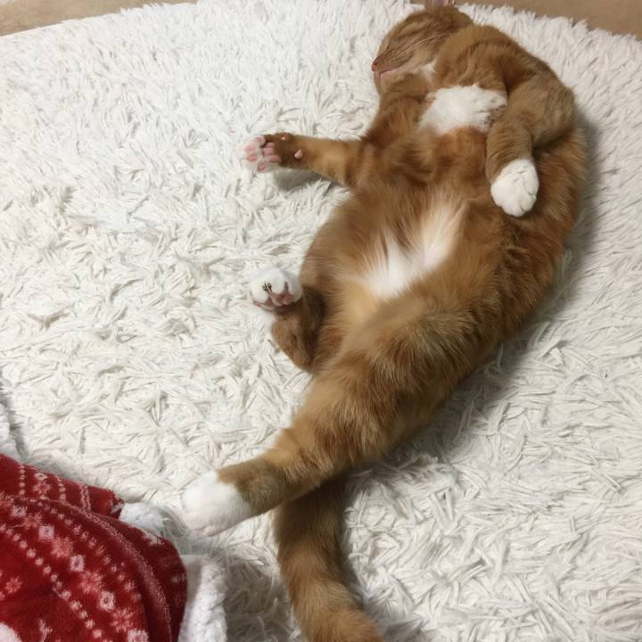 E9f2a940 539a 4191 a49b ee9d5299add9 1578310679981