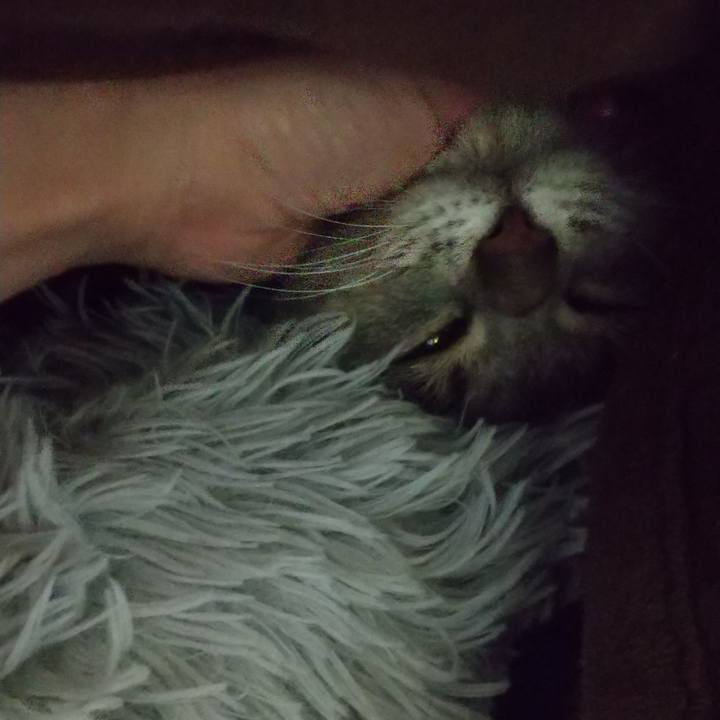 E9f2b1d6 1967 4a4f 9dc1 b3118ea6646d 1654704118114