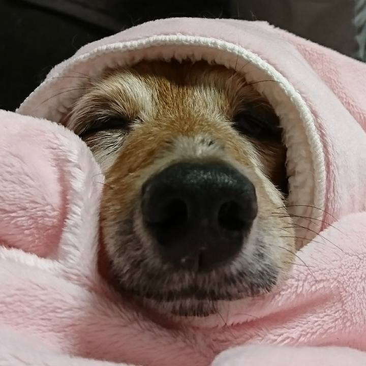 E9f2be8f de7b 4f2a b9b9 56b2ffe5dae0 1508083623524