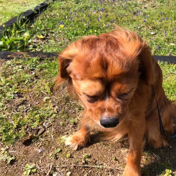 E9f2c627 3414 4228 b287 e3e435d46c74 1584534222609