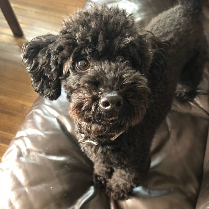 E9f2eb96 e0ab 4fc2 98b7 f78d61722506 1544920269130