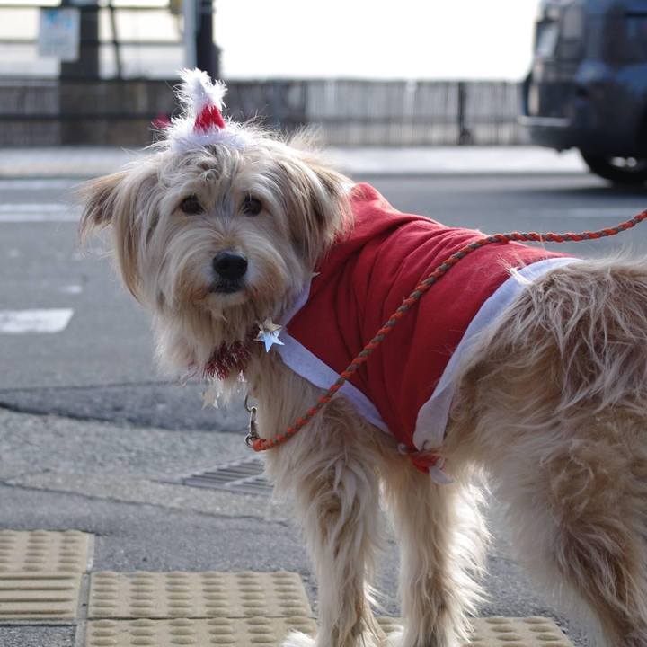 E9f30bf2 c752 441c bf04 78a6c657e511 1608769995321