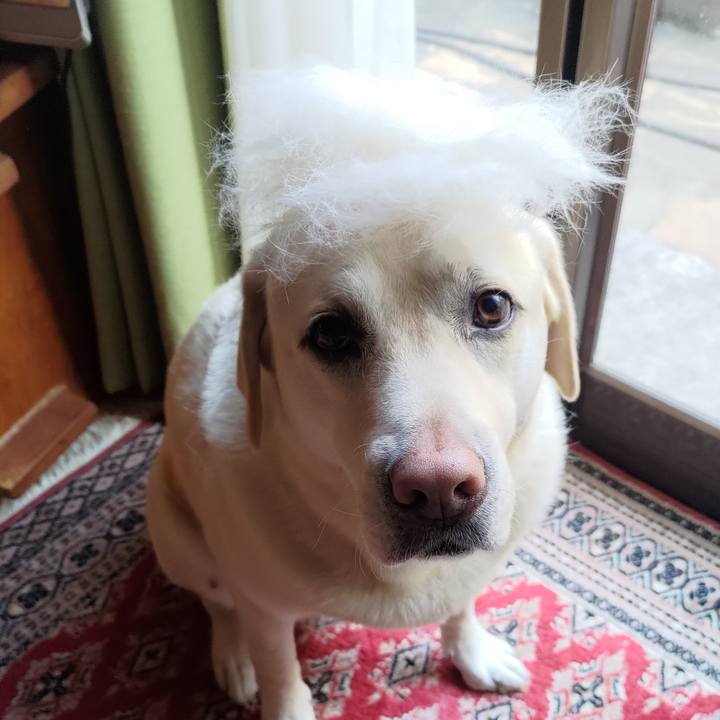 E9f3193e 99f2 42f6 86b5 b46a6e2dea36 1653734996231