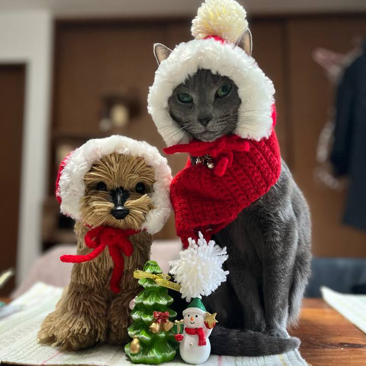 E9f328a0 bcb9 41ee 8904 b651dd5505c1 1735016698907