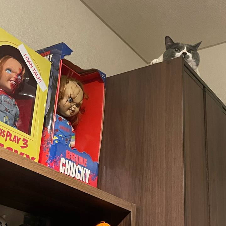 E9f37bed 01e7 47e9 9b22 9ec329d557f1 1692618330045