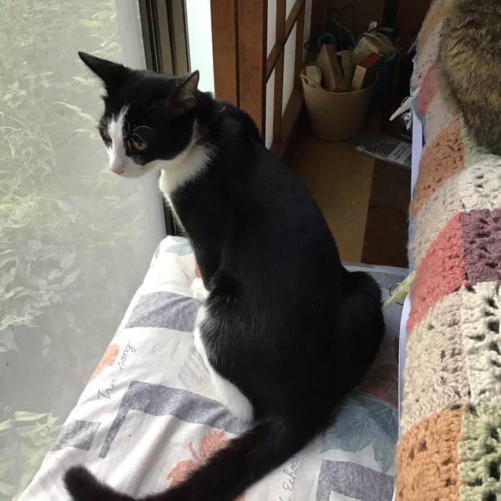 E9f389b6 b005 4180 9718 16e578a15aea 1632300598113