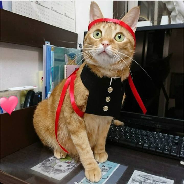 E9f3d9b2 2b0b 41d3 80d7 a4d67f716418 1572045077337