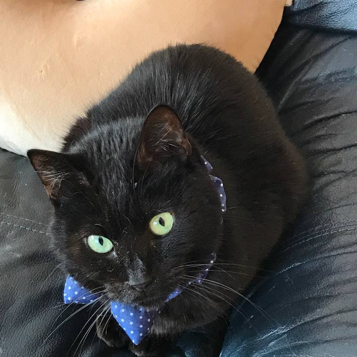 E9f4254f f7ca 4fac 8843 31c01ea16721 1561237778056