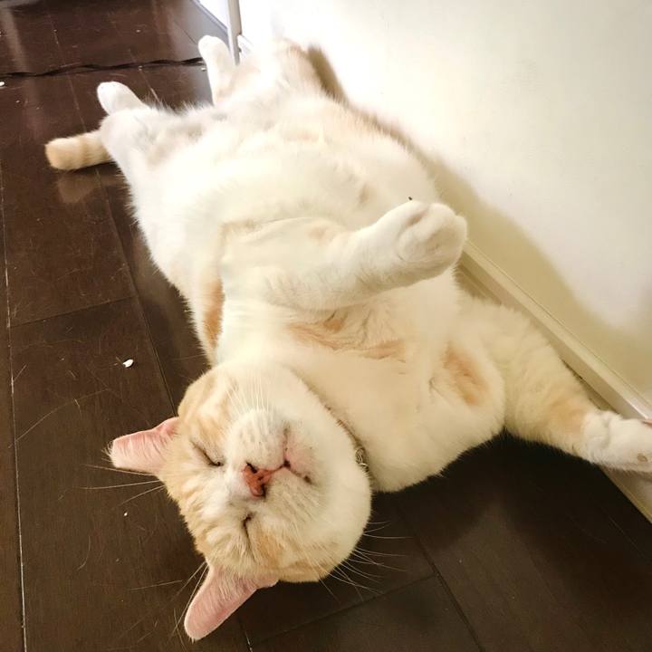 E9f47780 e96c 4b52 9f39 a3a826bf8df8 1630250175584