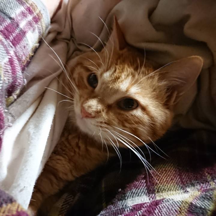 E9f48e07 3803 4399 b25f 69d28e25ed26 1646426783130