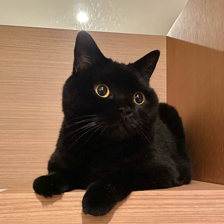 E9f4d29a f83b 4bae 855e 83d0c15cb25e 1725110912774