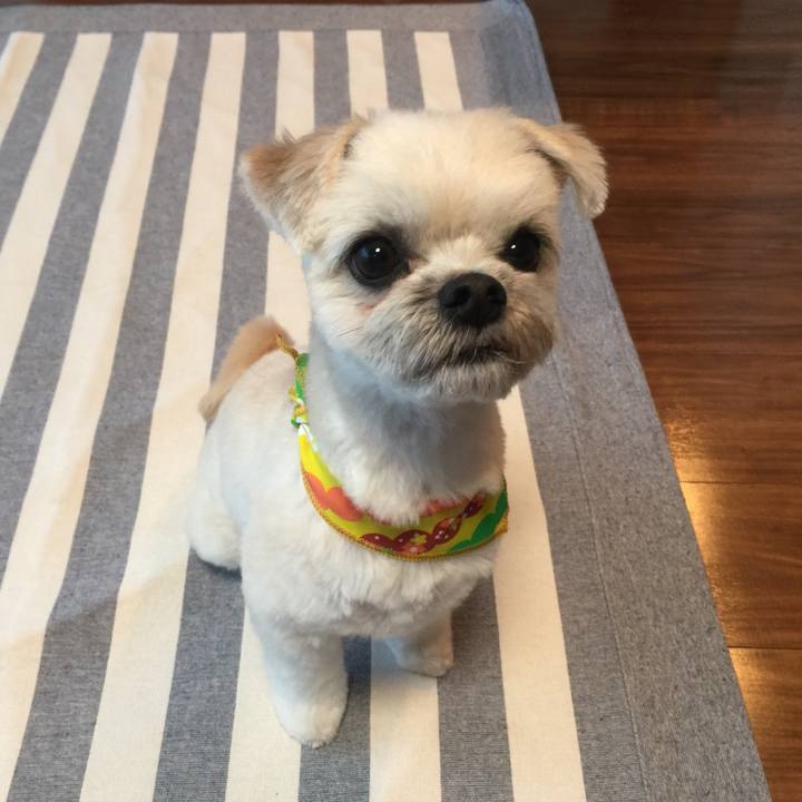 E9f4e8de a239 4c9d 826a f92addb20cab 1522232757955