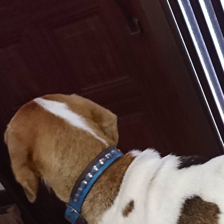 E9f4f0d2 cc03 463f 8f7d ba514640ab38 1568252343400