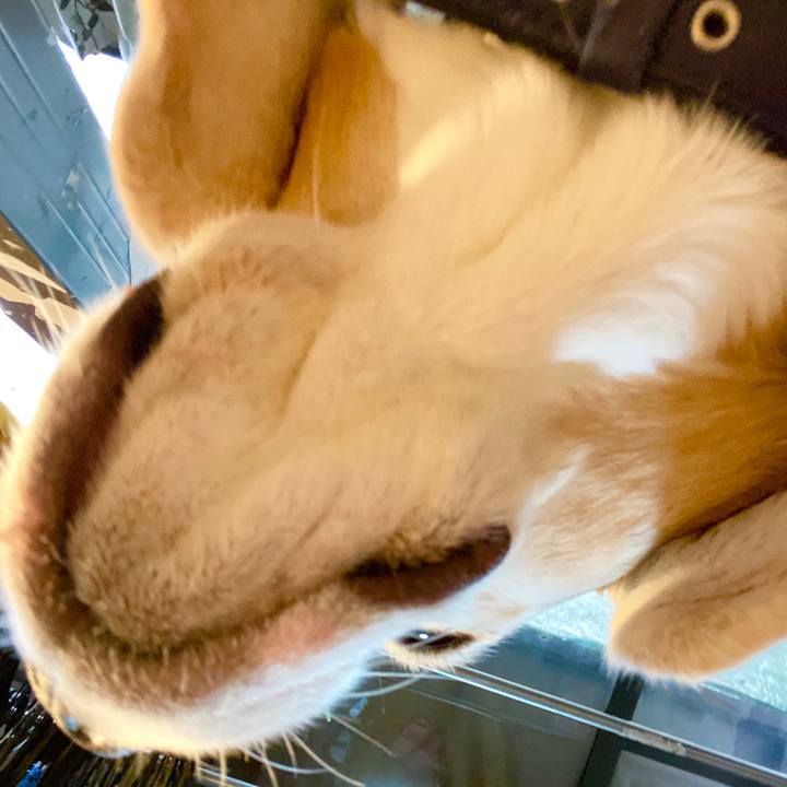 E9f50427 474d 41c5 a745 773dfea1297b 1589014457072