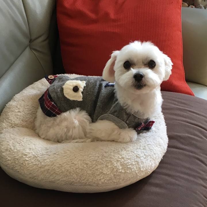 E9f52114 96f5 41a8 865b 91a2239cab9c 1548567302215