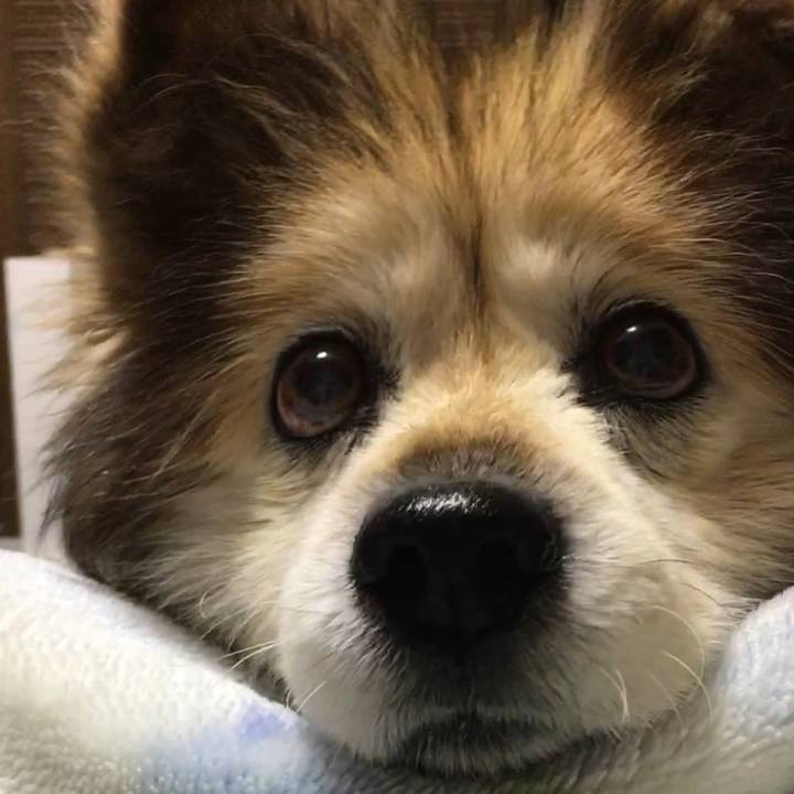 E9f55e56 3076 44aa 9585 9c3c59a34295 1590497895296