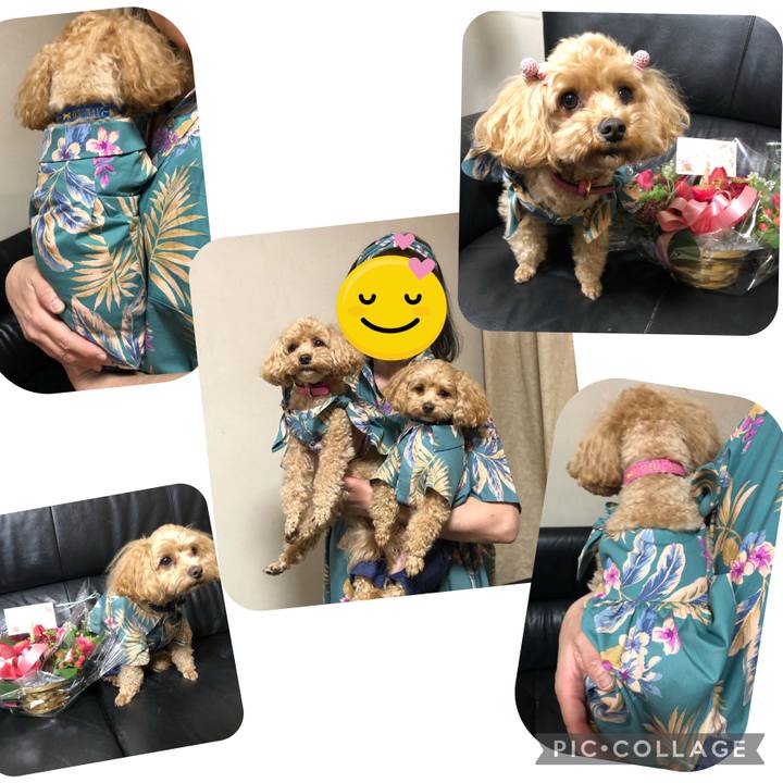 E9f56560 749e 46b2 addd 9772bd861035 1681161274591