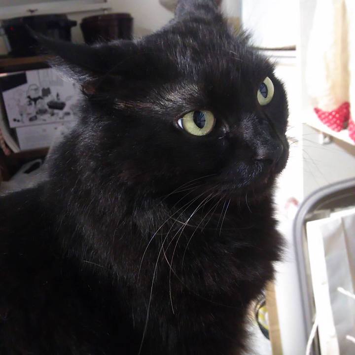 E9f5729c e2f5 496f b6a6 8a3e77ac30ef 1538875277999