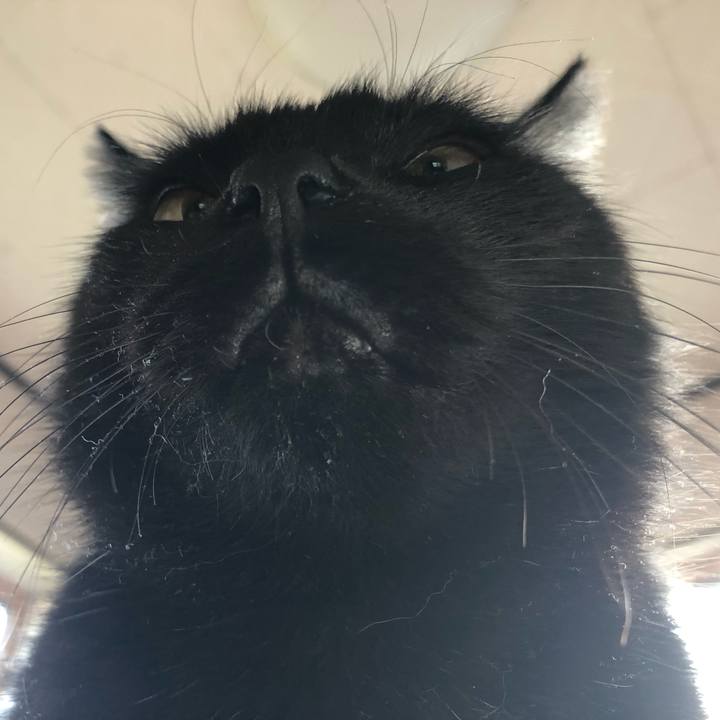 E9f57663 7942 4c98 9040 068c3bf93427 1569938694781