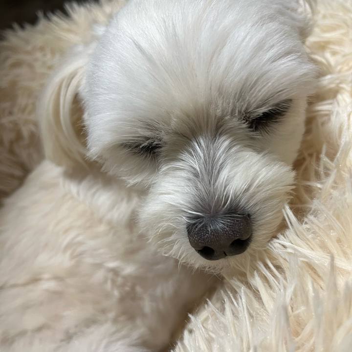 E9f57b55 d59a 403f 87d5 e5e59a207bd3 1668346666359